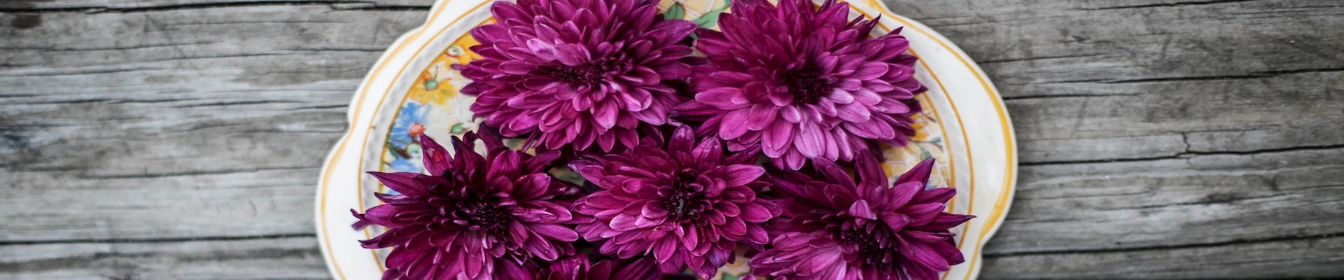 Purple dahlia flower arrangement displayed on a decorative plate